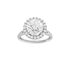Solstice: Round, Prong, Halo