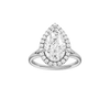 Solstice: Pear, Plain, Halo