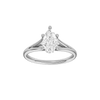 Solstice: Pear, Plain, Hidden Halo