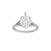 Solstice: Pear, Plain, Hidden Halo