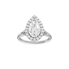 Solstice: Pear, Plain, Halo