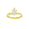 Alight: Pear, Channel, Hidden Halo