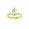 Alight: Pear, Channel, Hidden Halo