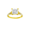 Solstice: Princess, Prong, Plain
