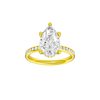 Alight: Pear, Channel, Hidden Halo