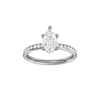 Alight: Pear, Channel, Hidden Halo