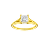 Solstice: Princess, Plain, Hidden Halo