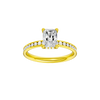 Alight: Radiant, Channel, Hidden Halo