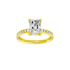 Alight: Radiant, Channel, Hidden Halo