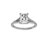 Solstice: Radiant, Plain, Plain