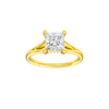 Solstice: Princess, Plain, Hidden Halo