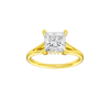 Solstice: Princess, Plain, Hidden Halo