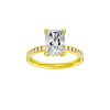 Alight: Radiant, Channel, Hidden Halo