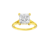 Solstice: Princess, Plain, Hidden Halo