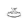 Alight: Radiant, Channel, Hidden Halo