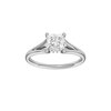 Solstice: Princess, Plain, Hidden Halo