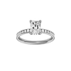 Alight: Radiant, Channel, Hidden Halo