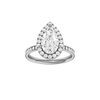 Alight: Pear, Channel, Halo