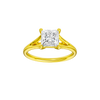 Solstice: Princess, Plain, Plain