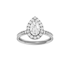 Alight: Pear, Channel, Halo