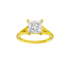 Solstice: Princess, Plain, Plain