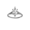 Solstice: Marquise, Plain, Plain