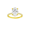 Alight: Oval, Prong, Hidden Halo