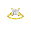 Solstice: Princess, Plain, Plain