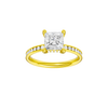 Alight: Princess, Channel, Hidden Halo
