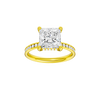 Alight: Princess, Channel, Hidden Halo