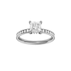 Alight: Princess, Channel, Hidden Halo