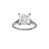 Solstice: Princess, Plain, Plain