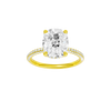 Alight: Elongated Cushion, Pavé, Hidden Halo