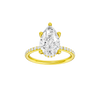 Alight: Pear, Prong, Hidden Halo