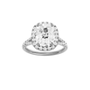 Solstice: Elongated Cushion, Prong, Halo