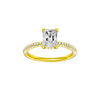 Alight: Radiant, Pavé, Hidden Halo