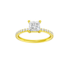 Alight: Princess, Prong, Plain