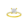 Alight: Princess, Prong, Plain