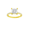 Alight: Princess, Prong, Plain