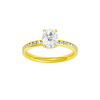 Alight: Elongated Cushion, Channel, Hidden Halo