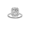 Provenance: Radiant, Pavé, Halo