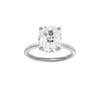 Alight: Elongated Cushion, Pavé, Hidden Halo