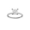 Alight: Princess, Prong, Plain