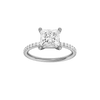 Alight: Princess, Prong, Plain