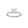 Alight: Princess, Prong, Plain