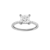 Alight: Princess, Prong, Plain