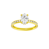 Alight: Oval, Channel, Hidden Halo