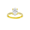 Alight: Oval, Channel, Hidden Halo