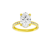 Alight: Oval, Channel, Hidden Halo