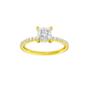 Alight: Princess, Prong, Hidden Halo